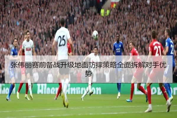 张伟丽赛前备战升级地面防摔策略全面拆解对手优势